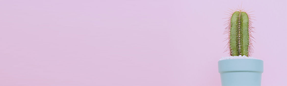 sale-highlight-bg-banner